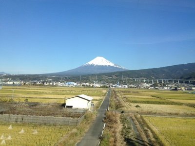 歌よし、人生感よし、性格よし、顔よし、姿よし、丘みどりさんを熱烈応援します。よろしくお願いします