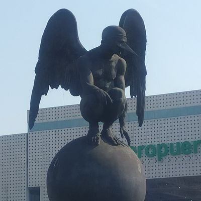 JohnGtm1's profile picture. ok