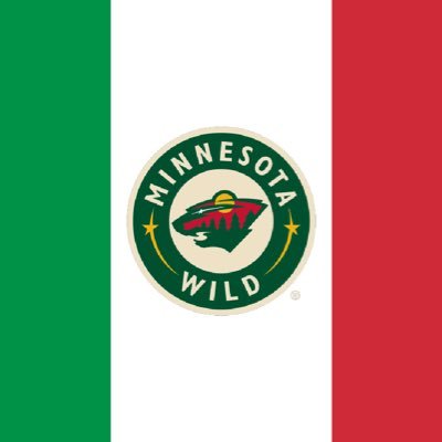 Pagina non-ufficiale per tifosi e simpatizzanti di lingua italiana dei Minnesota Wild 🐯❤️💚💛🤍Bringing @mnwild closer to your home 🇮🇹🇪🇺 #OurIce #ForzaWild