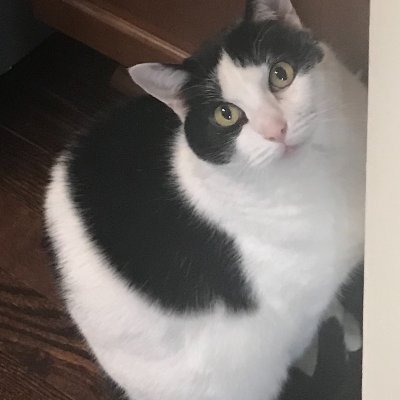 dlm10244's profile picture. Retired. Having a great time with my grandchildren and traveling.