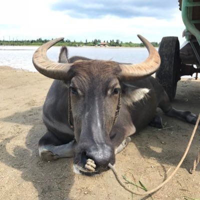 hacasm800802151's profile picture. 