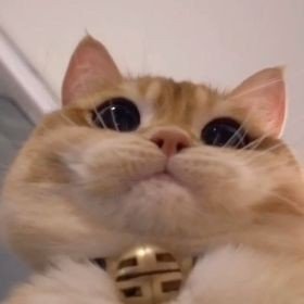 Martha😁was🥰an🙃average🐕dog. She went💨aërf🍒&🤕ærph😪&👻EEEER🤠when👧🏻she👄ate🤏🏻some🤖alphabet👽soup,🐶then🧦what🌸happened🌚was🌈bizarre🧽