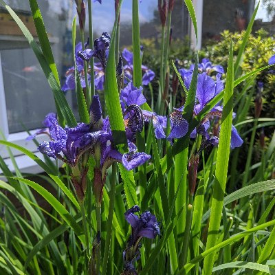 cpellr's profile picture. 