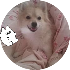 Ichiyou_Himukai Profile Picture