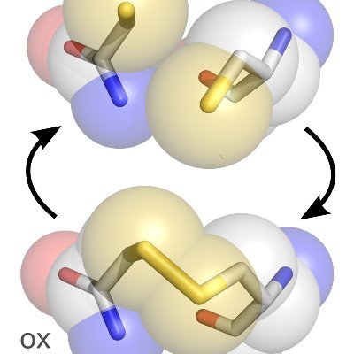 Current researchers: 
CH Lillig, M Gellert, D Trnka, Y Bodnar, L Knaup, AS Apriliani, C Felbel, L Petschke  #redox #FeS #glutaredoxin #thioredoxin #thiol_switch