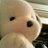 mutsumi9's profile image