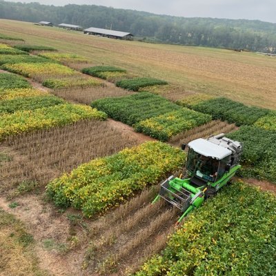 NCStatesoybeans Profile Picture