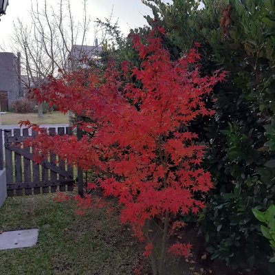 MariaJambrina's profile picture. 