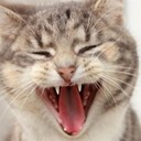 Kerri Cunningham - @mememur - Twitter