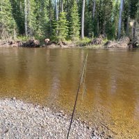 FAB2016 (@fab_2016) 's Twitter Profile