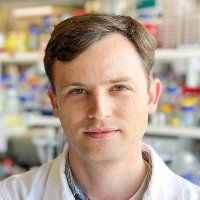 Ben Hale (@benhalephd) 's Twitter Profile