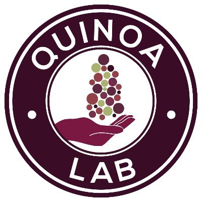 Somos un grupo de investigadores de diversas disciplinas de la @UCatolica reunidos para llevar soluciones innovadoras al cultivo de la #quinoa en #Chile.