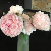 Dongming Cai, MD, PhD (@dongmin30741296) 's Twitter Profile