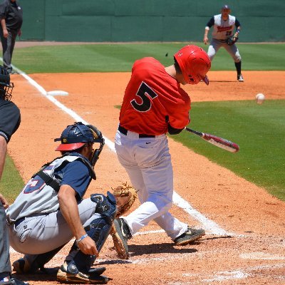 greygringo5's profile picture. All the World's a Stage