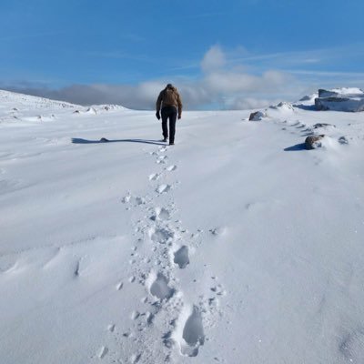 Lo único seguro de esta vida, es que la primavera siempre gana al invierno.