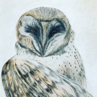 Anthony Newman (@anthony92524779) 's Twitter Profile