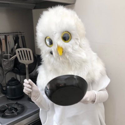 dot_owl Profile Picture