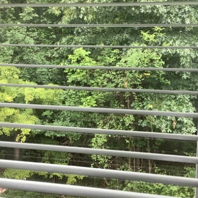 rianjdeus's profile picture. 