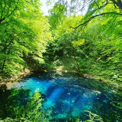 258102ryo's profile picture. 仮想通貨マイニング案件気になる人！           話だけでも聞きたい人おいで！