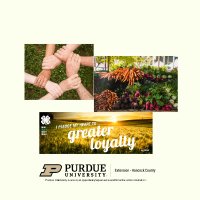 Purdue Ext Hancock (@purduehancockco) 's Twitter Profile