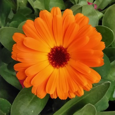 mrovira67's profile picture. 