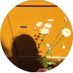 SA. (@soso1a_) Twitter profile photo SA. (@soso1a_) Twitter profile photo