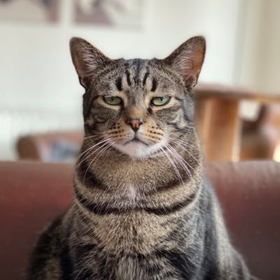 aledrob's profile picture. IT Geek, Woodworker/Woodturner Hobbiest