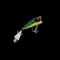 The Fishing Supply(@SupplyFishing) 's Twitter Profile Photo