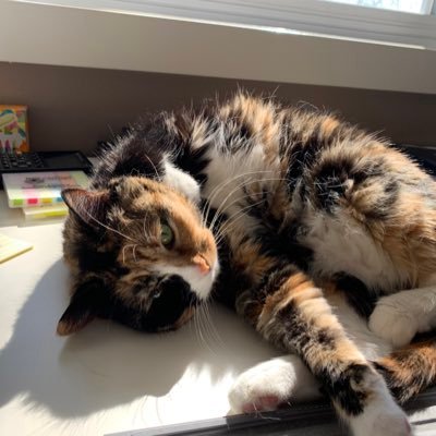 Arenmay79's profile picture. Alberta, Oilers, Cats, Justice, Equality, Sustainability, Laughs, Love, Eff Cancer, Dream big