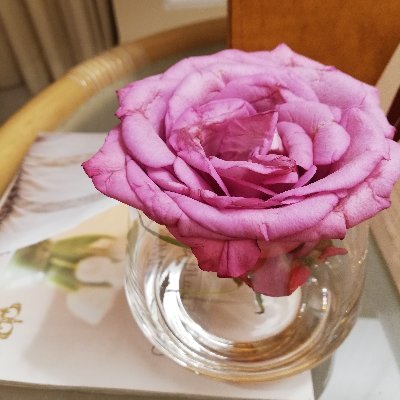 wLdDxcuAPJ5R7A1's profile picture. أصحاب الخلق الأحسن