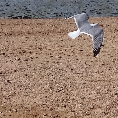 rasolondraibesy's profile picture. Hiver, été, printemps ou automne.. La joie, tristesse ou colère, soleil, lune, étoiles.... Je ne retiens qu'une chose. La vie est belle