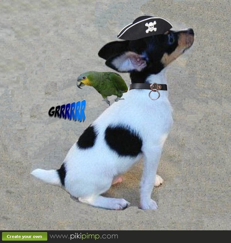 DaffyDamnit's profile picture. I'm NoCrybabyDoGs #StormChaserDaffy Same ol FraidyCloset. 4 year old Rescue ToyFox girl .. arooo! Dis my Jail account.