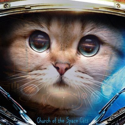 cattysass's profile picture. 