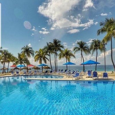 jonidesv's profile picture. 