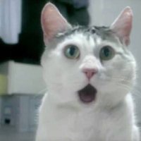 @Footles (@habeljennifer) 's Twitter Profile