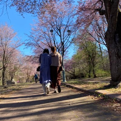 rion____1119's profile picture. 白樺3