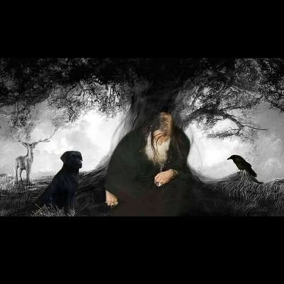 PuhtalSarkarr's profile picture. ‏‏‏پهتل سرڪار
ڪنهن قسم جي ڌاڳي فيڻي لاء رابطو ڪندا.
نوٽ؛ پئسا بلڪل به نه.