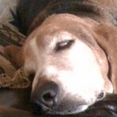 Robert Cantrell - @churchofbobert - Twitter