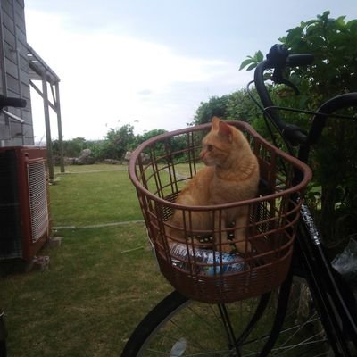 Ldvb7X7edpmQtgv's profile picture. 