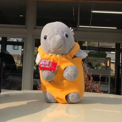 classic mini / elephant / カビゴン / 着物 / etc...🦣miniは十人十色で個性たっぷり💜【しろんぼ姫👸】コミュ力ください(切実)😂アイコンは相棒【華ちゃん🐘】街中で出会ったミニはこちら👋 ➡︎ #ハナ坊のminiカウント 🚘 メモ帳📝 ➡︎ #ハナ坊𓃰のメモ帳
