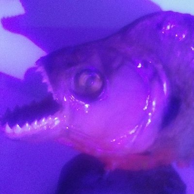 JohnnieWaTatu's profile picture. 