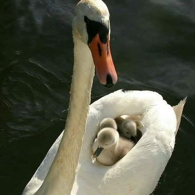 Hope19388221's profile picture. umut eder bekler sabır yoruldu..