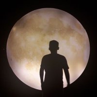 Zimo (@hanszimo) 's Twitter Profile