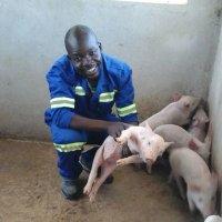 Nodumo Moyo (@nodumomoyo1) 's Twitter Profile Photo Nodumo Moyo (@nodumomoyo1) 's Twitter Profile Photo