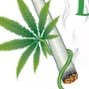 Medical/Rec Cannabis info, CBD/Marijuana website: Updated daily to keep you 💚😙💨18+ #cannabis #CBD #Mmemberville #StonerFam #DailyHaze