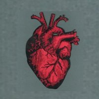 Heart .(@eh12__) 's Twitter Profile Photo