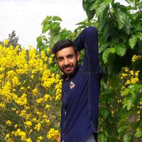 Roze Mohammad Tarakai (@rozetarakai) 's Twitter Profile