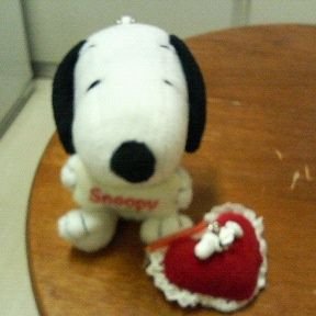 1965123snoopy Profile Picture