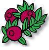 Family Run Cranberry Farm featuring Tours, Culinary Events, and Producing over 40 Delicious Cranberry Products right here on the farm.  Open every day.