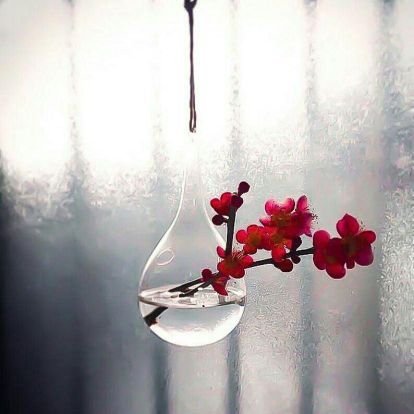 MSK2MS's profile picture. - ‏نُرشد التائهين ولا نعرف كيف نغادر المتاهة .